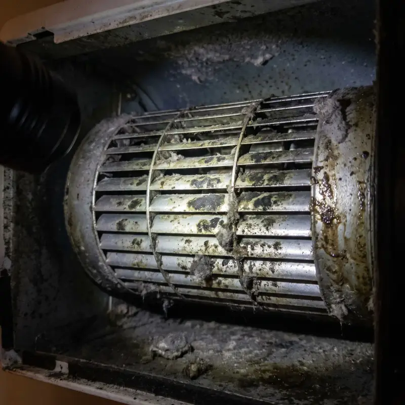 Intérieur d'une clim : turbine couverte de moisissures